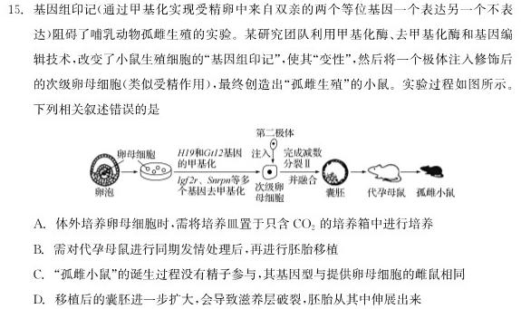 安徽省2023-2024学年上学期生物试卷答案