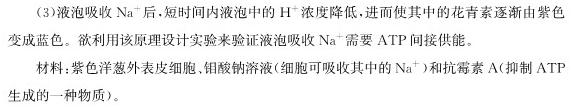 江苏省2023-2024学年第一学期联盟校高三年级第一次学情调研检测生物学试题答案