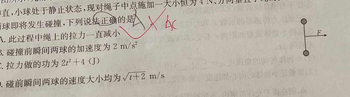 [今日更新]智慧上进·2024届高三总复习双向达标月考调研卷（四）.物理试卷答案