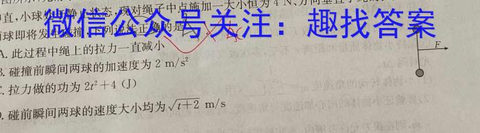 河南省2023-2024学年上学期高二10月月考(24132B)物理`