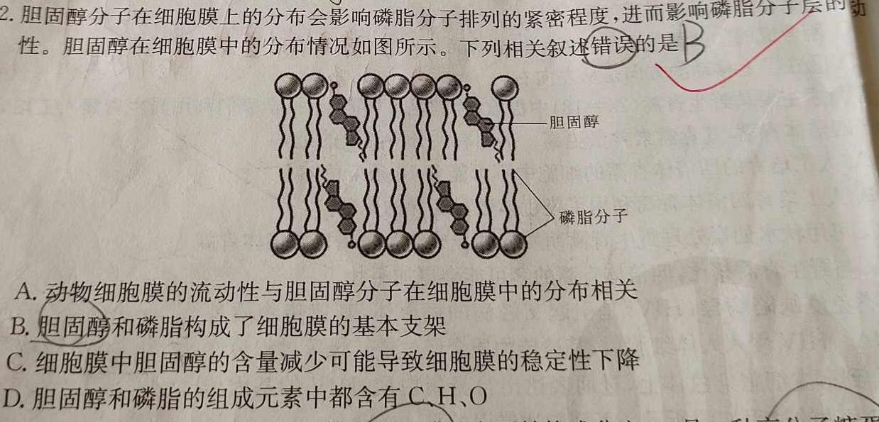 2023年秋季河南省高一第二次联考(24-43A)生物