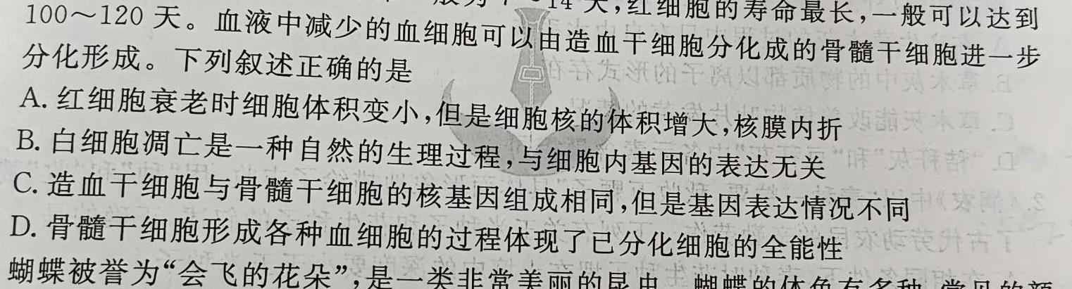 2024年普通高等学校统一模拟招生考试新未来10月联考（高二）生物试卷答案