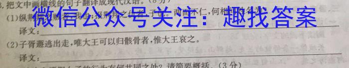 陕西省2023年秋季学期高一期中考试（241224Z）语文