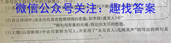 兵团地州学校2023-2024学年高三年级第一学期期中联考/语文