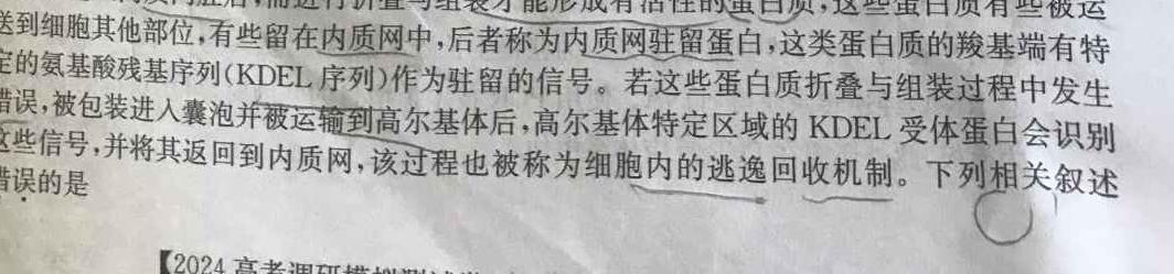学科网2024届高三10月大联考(全国乙卷)生物试卷答案