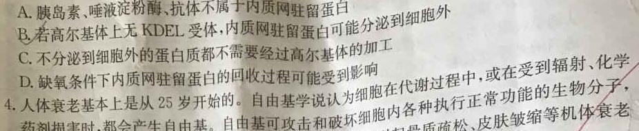 河南省洛阳市强基联盟2023-2024学年高二上学期10月联考生物学试题答案