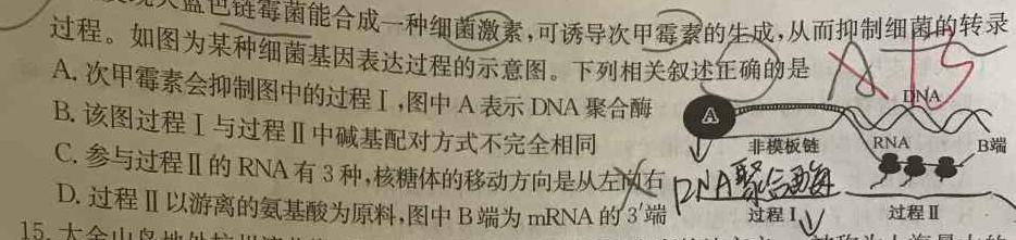 ［江西大联考］江西省2025届高二年级上学期11月联考生物