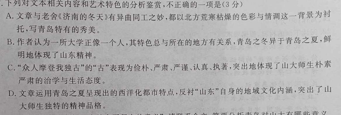 安徽省合肥市琥珀中学教育集团2024届九年级第一次质量调研检测语文