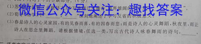 陕西省2024届高三年级第三次质量检测考试(24182C)/语文