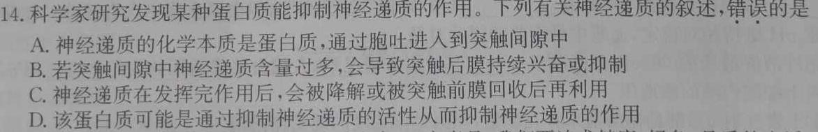 2023-2024学年陕西省高二考试11月联考(※)生物