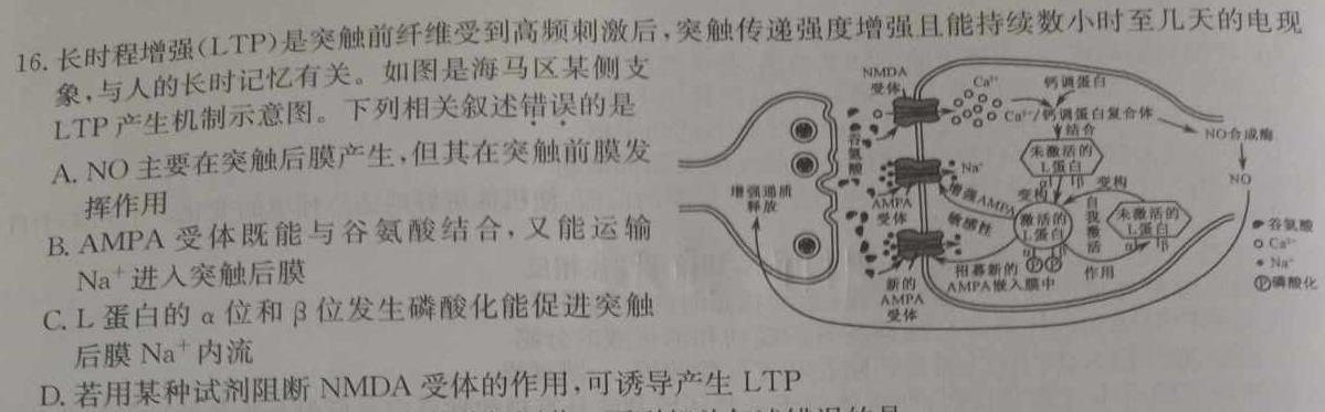 2024届全国名校高三单元检测示范卷(十六)生物