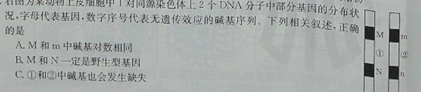 衢州、丽水、湖州2023年11月三地市高三教学质量检测生物学试题答案