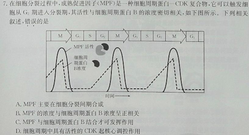 湖北云学新高考联盟高二年级10月联考生物