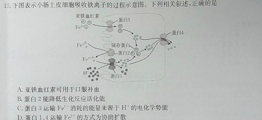 学林教育 2023~2024学年度九年级第一学期调研检测生物学试题答案