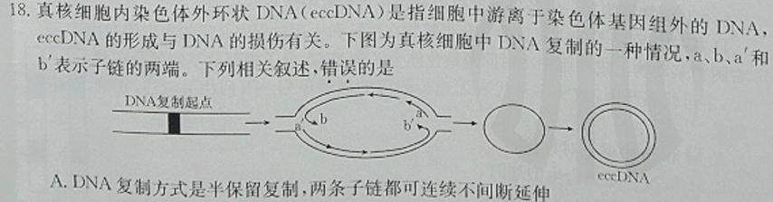 河南省南阳地区2024届高三年级期中热身模拟考考试卷（11月）生物学试题答案