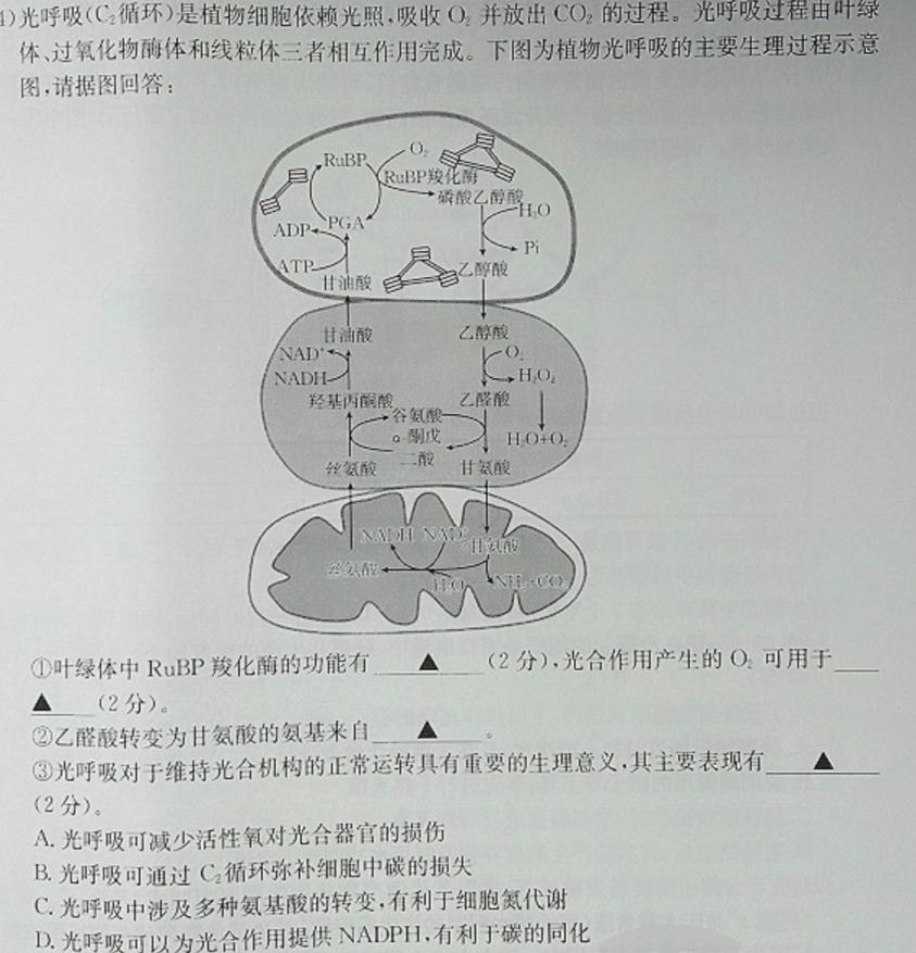 山西省2023-2024学年第一学期九年级期中质量监测试题（卷）［11.10］生物学试题答案