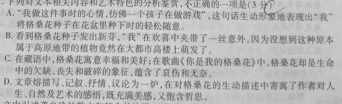 安徽省2023-2024学年九年级第一学期期中考试语文