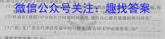 河南省2023-2024学年度上学期高三阶段性考试/语文