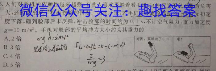 遵义第一组团2025届高二上学期第一次质量监测l物理