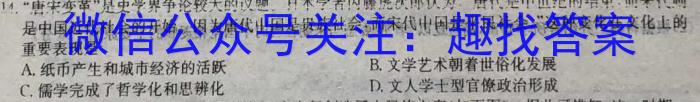 湖南天壹名校联盟三湘名校教育联盟 2024届高三10月大联考政治s