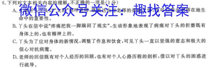 江西省2024届九年级初中目标考点测评（十四）语文