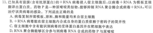 2024年普通高等学校全国统一模拟招生考试 高三10月联2024届陕西省九年级教学质量检测(◼包◇)生物试卷答案