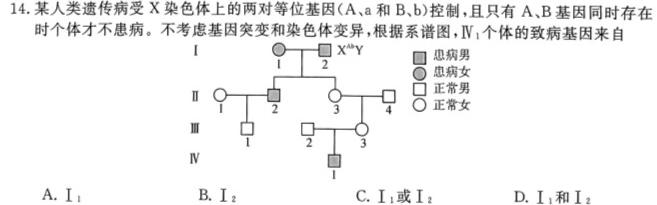 山西省2023-2024学年上学期八年级阶段评估卷（11.09）生物学试题答案