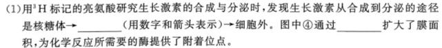 江西省2024届九年级期中考试11月联考生物