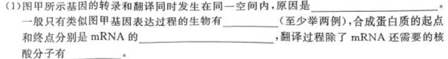 树德中学高2021级高三上学期10月阶段性测试生物