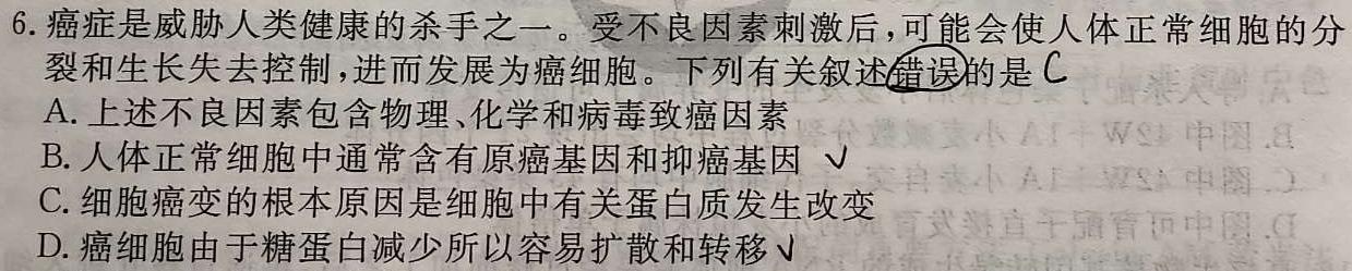 安徽省2023-2024学年度七年级阶段质量检测生物学试题答案