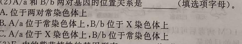 学科网2024届高三10月大联考考后强化卷(全国乙卷)生物