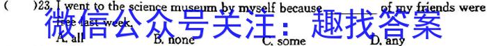 名校调研系列卷·2023-2024学年九年级期中测试英语试题