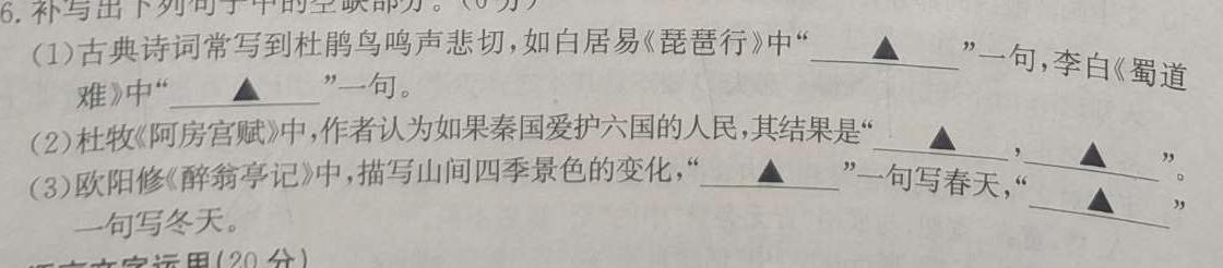 河北省2023-2024学年七年级第一学期第一次学情评估语文