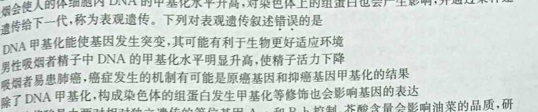 南宁市2024届高中毕业班摸底测试(10月)生物试卷答案