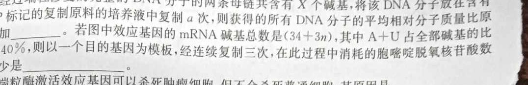 河北省思博2024届九年级第一学期第一次学情评估（B卷）生物学试题答案