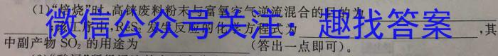 1河南省2023-2024学年度九年级上学期期中综合评估【2LR】化学