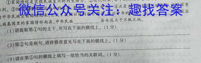 安徽省2023-2024学年度九年级上学期阶段性练习（二）/语文