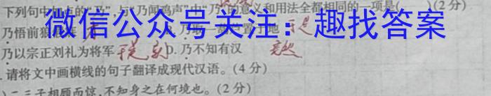 2024届全国高考分科模拟检测示范卷(4)/语文