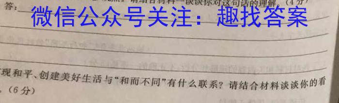 安徽省2023-2024学年九年级上学期期中教学质量调研语文