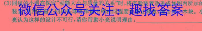 安徽省2024届同步达标自主练习·九年级第二次（期中）l物理