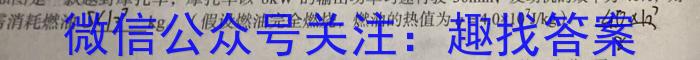 贵州省纳雍县2023-2024学年度九年级第一学期期中考试q物理