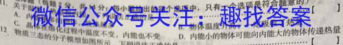 福建省2023年秋季九年级期中教学素质联合拓展活动f物理