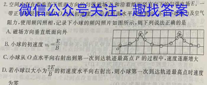 智慧上进·2024届高三总复习双向达标月考调研卷（三）f物理