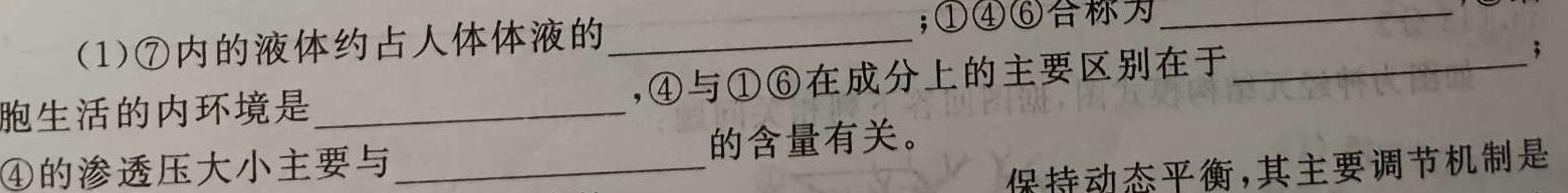 ［新疆大联考］新疆2024届高三10月联考生物学试题答案