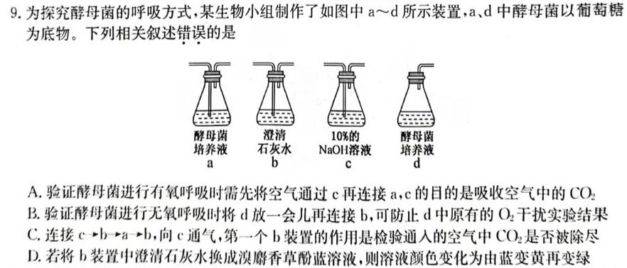 天一大联考 2023-2024 学年(上)南阳六校高二年级期中考试生物学试题答案