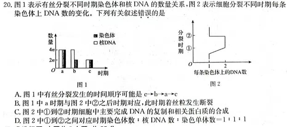 2023-2024衡水金卷先享题月考卷高三 四调生物