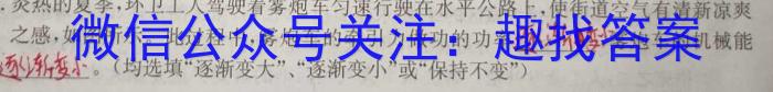 陕西省2024届高三期中测试(24-162C)物理`