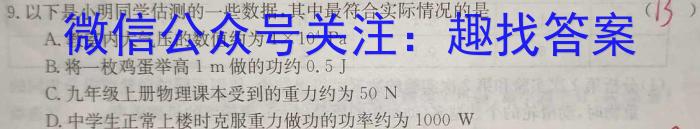 ［新疆大联考］新疆2023-2024学年高二年级上学期10月联考物理`