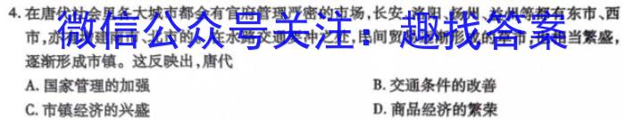 陕西省2023-2024学年度第一学期九年级调研检测（L）历史