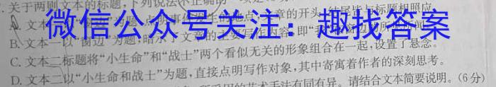 乌兰浩特一中2023~2024学年高一上学期期中考试(241228Z)/语文